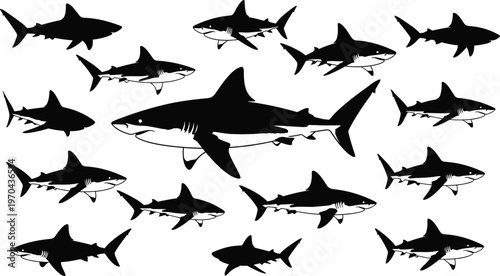 A massive collection of black shark silhouettes featuring great white bull and tiger sharks in various swimming positions for professional ocean themed graphic design.
