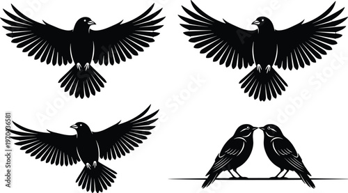 , animal graphic element, bird flight motion, black raven icon, soaring crow vector, bird pair silhouette, sitting bird vl bird silhouette