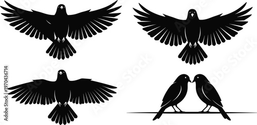 Black bird silhouette collection featuring flying crows and ravens with wings spread and a pair of birds sitting together isolated on white background.