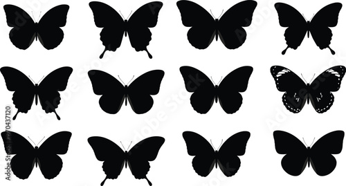 Set of black butterfly silhouettes vector illustrations featuring various wing shapes and delicate antenna details isolated on white background for nature graphic design projects.
