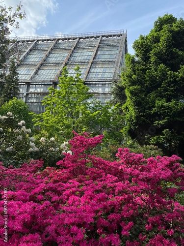 greenhouse with plants