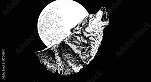Detailed black and white illustration of a wild wolf howling at a full moon under a dark night sky, animal wildlife art