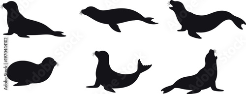A collection of seal silhouettes for artwork compositions