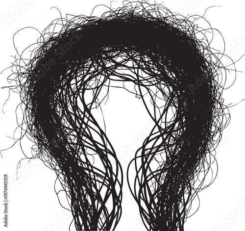 A dense tangled mass of black lines forming a circular arching shape