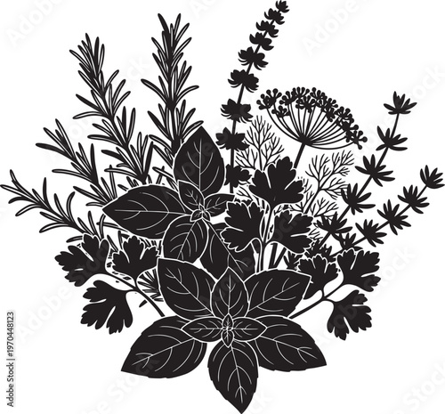 Silhouette of a bouquet of assorted herbs and spices