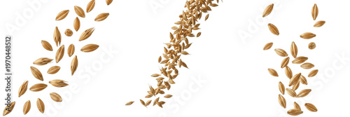 Photos Set of falling barley grains and wheat seeds explosion isolated on white backgro