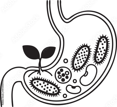 Black and white illustration of stomach with bacteria and plant