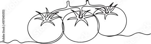 A black line drawing of three tomatoes on a vine