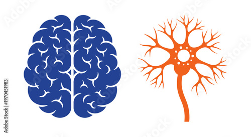 Brain and Neuron Illustration: Medical Science and Neuroscience Concept