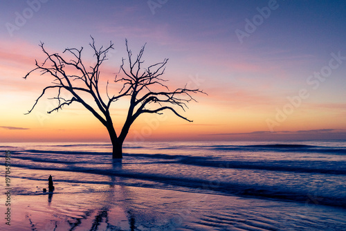 An ancient, skeletal tree stands as a sun-bleached sentinel in the rising tide. The vibrant purple and orange sky reflects off the glassy Atlantic, highlighting the beauty of coastal erosion.