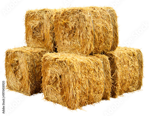 Stacked rectangular bales of dried grass material