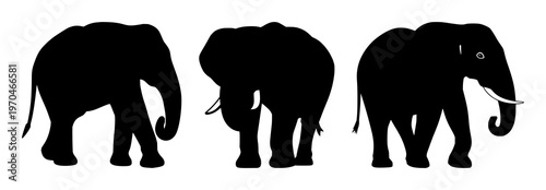 Elephant icon set with black silhouette on white backdrop featuring wildlife conservation, endangered species, iconography with high contrast and minimalist design