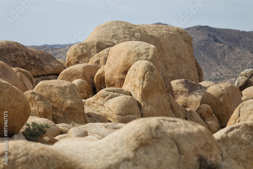 Joshua Tree National Park