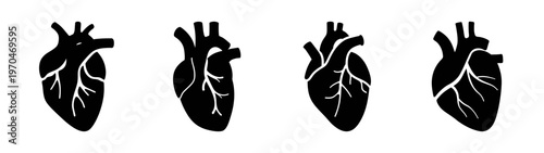 Explore human heart anatomy with detailed black and white heart vector illustrations anatomy study