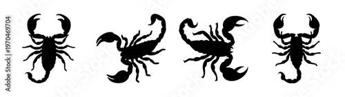 Scorpion silhouette vector art illustration graphic design arachnid insect dangerous animal black and white clip art