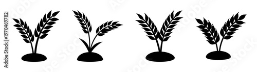 Black silhouette vector illustration of rice plants in pots for graphic design and decoration use