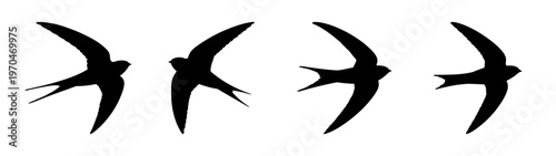 Swift bird silhouette vector illustration flying swallow birds collection graphic design element set free