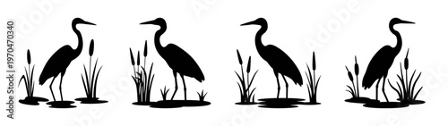 Silhouette heron illustration of birds in wetland with reeds and water wildlife animal art