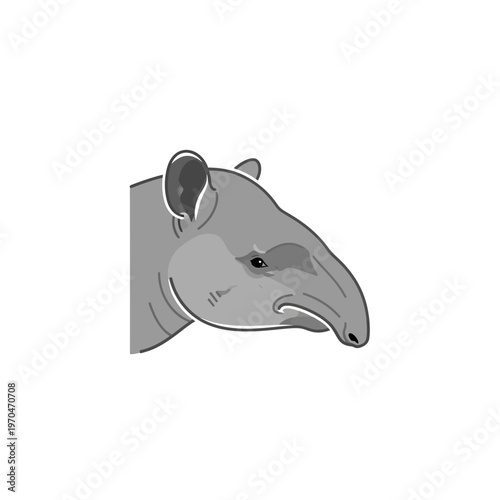 Illustration of a Tapir's Head with a Distinctive Proboscis, Depicting a Unique Mammal from the Americas, Set Against a White Background