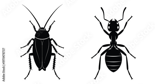 Two insect silhouettes a cricket and an ant shown in profile silhouette