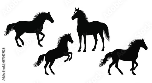 Four black horses in dynamic poses a striking silhouette