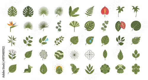 Collection of various leaf types. Vector Icon. EPS Editable
