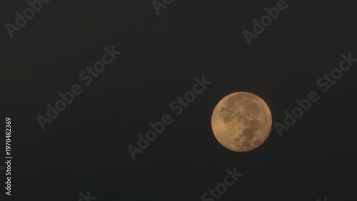 full moon in the night