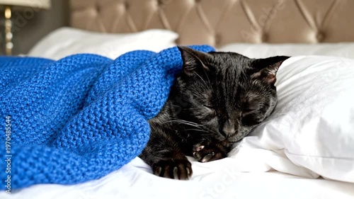 Black Cat on White Bed.