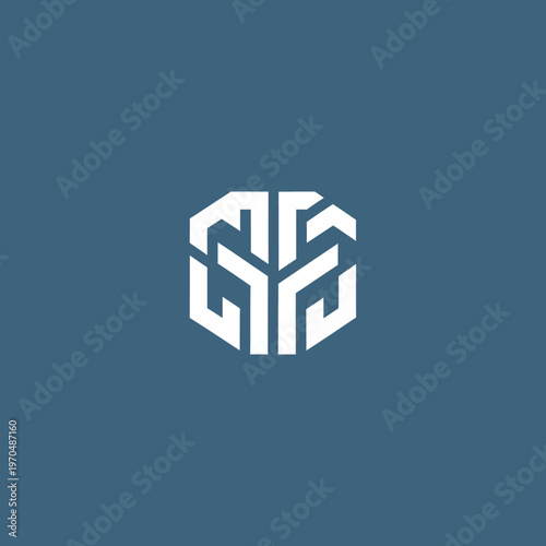 Geometric Abstract Logo Design White Hexagonal Shape.