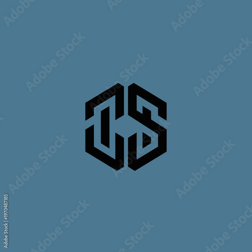 Geometric Monogram Logo Design DS Hexagonal Shape.
