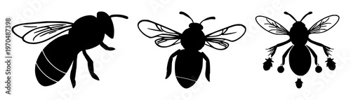 Bee cluster set with solid black icon on white background featuring bees, swarm, intelligence with icon design and vector illustration