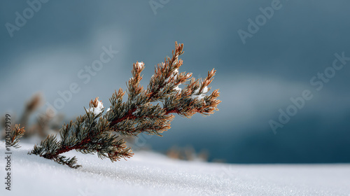 portrait of smiling person in left corner of frame hands extending beyond border