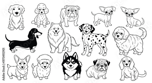 Collection of various dog breeds line art vector set featuring husky corgi dalmatian pug and dachshund on white background.