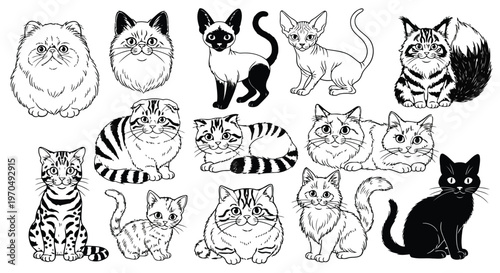 Diverse cat breeds collection line art vector featuring persian siamese bengal and black cat icons on white background.