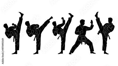 Silhouetted group performing dynamic martial arts kicks in a synchronized display.