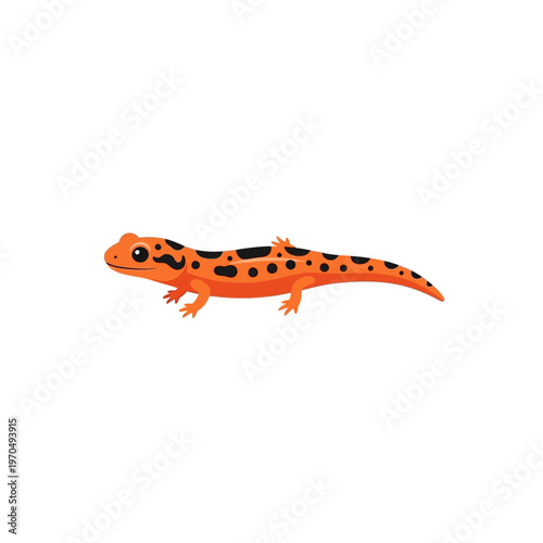 Bright orange lizard with black spots, a small amphibian with a long tail, depicted in a vector illustration on a white background