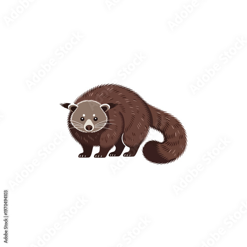 A whimsical illustration of a cute civet cat with a bushy tail on a white background, perfect for nature and animal-themed designs