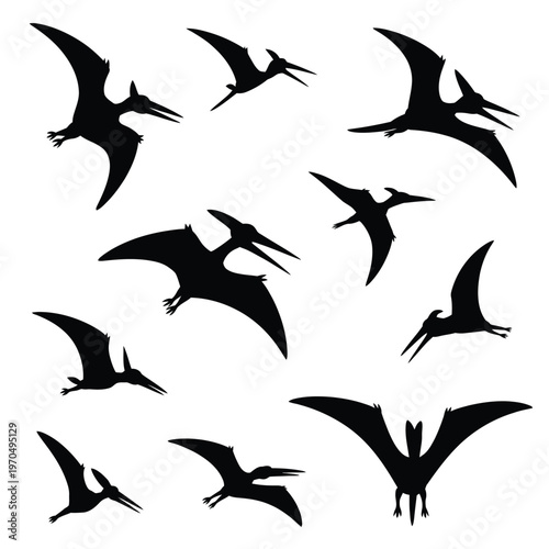 A collection of pterosaur silhouettes in various flight poses