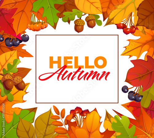 Hello autumn seasonal banner with tree leaves, berries and acorn frame, vector greeting card. Fall season banner with Hello Autumn quote and autumnal harvest of oak, rowan and birch leaves foliage