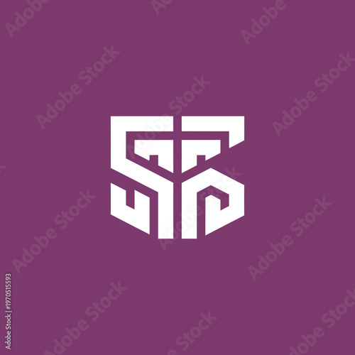 Modern Abstract Geometric Monogram SS Logo Design.