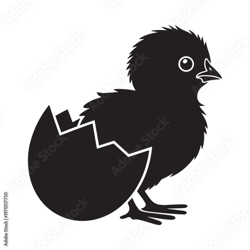 A newly hatched chick emerges from a cracked eggshell in black