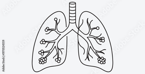 Minimalist line art illustration of human lungs and respiratory system showing the bronchial tree, trachea, and alveoli for medical and health concepts