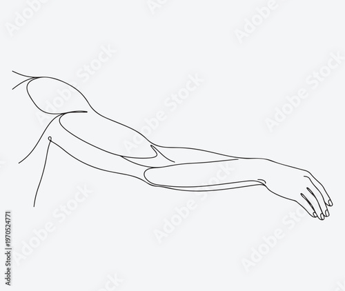 Continuous Line Drawing of a Human Arm and Hand, Minimalist Sketch of Biceps and Fingers, One Line Art Illustration.