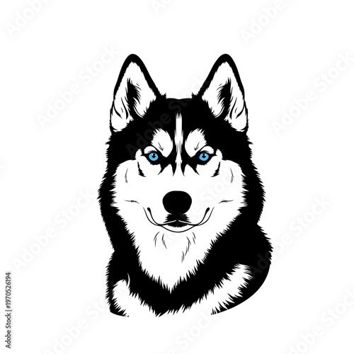 Husky Portrait: A striking monochrome portrait of a majestic husky, its piercing blue eyes exuding intelligence and charm, rendered with bold lines and a minimalist aesthetic.