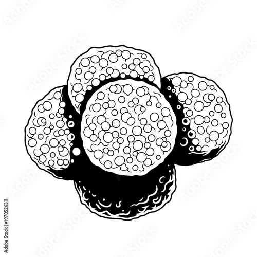 Cellular Fusion: An artistic monochrome depiction unveils the fascinating convergence of cells, illustrating the biological marvel of cellular fusion in a stark, captivating display.