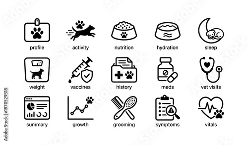Pet care icons: hydration, nutrition, sleep, vaccines, grooming essentials