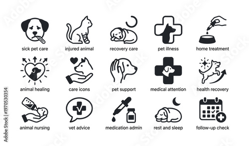 Animal care icons: sick pets recovery support illness treatment advice