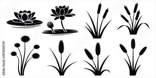Silhouette Illustrations of Water Lilies, Cattails, and Thistles water lily lotus