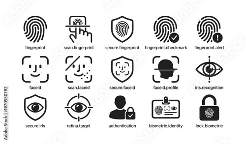 Biometric security icons: fingerprint, face id, iris recognition, retina target, authentication