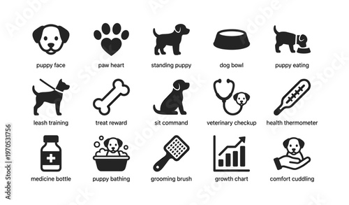 Vector icons of puppy care and training essentials